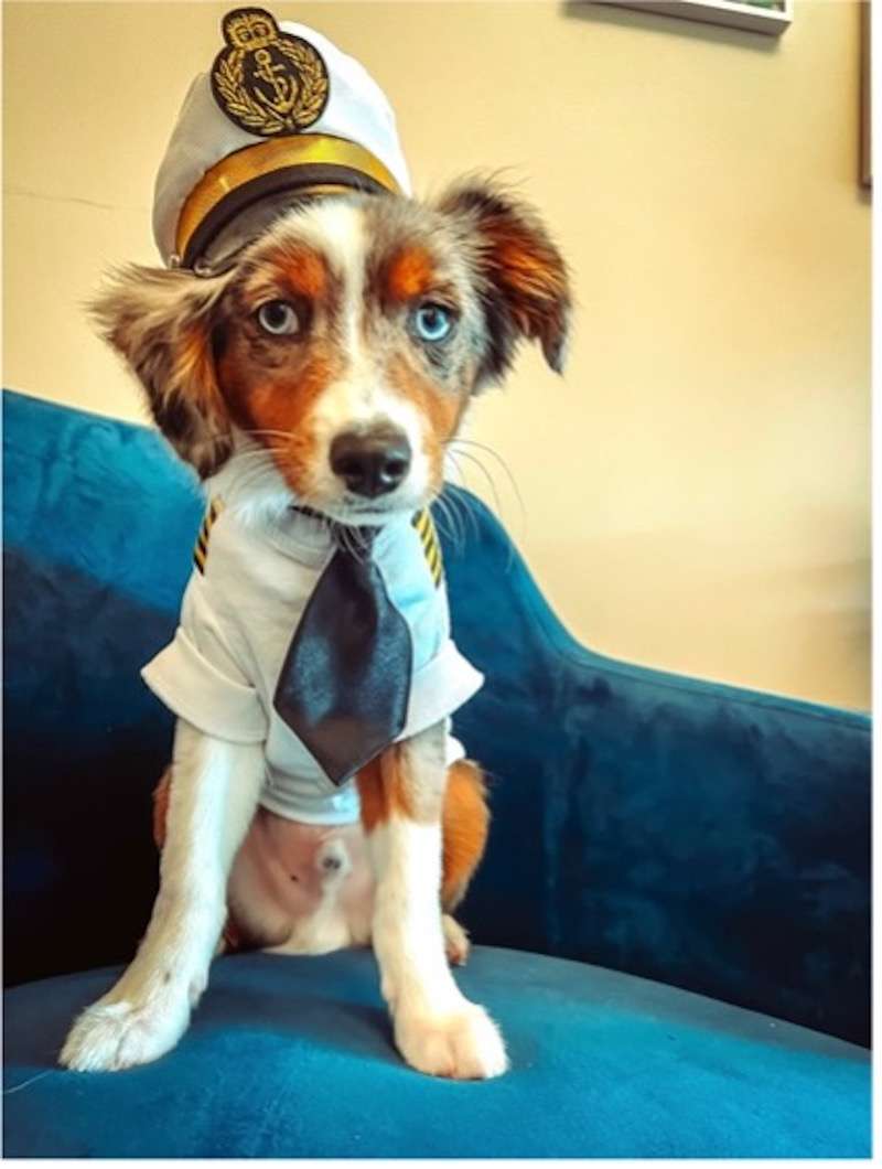 Reef, Lead Deck Dog