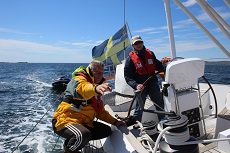 Janne Malmstrom, Skipper