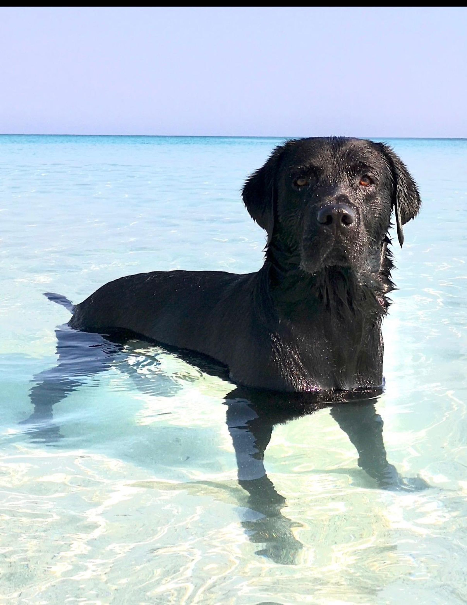 Max
