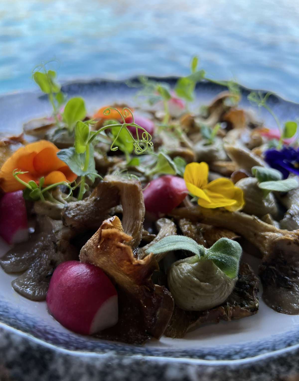 menu6