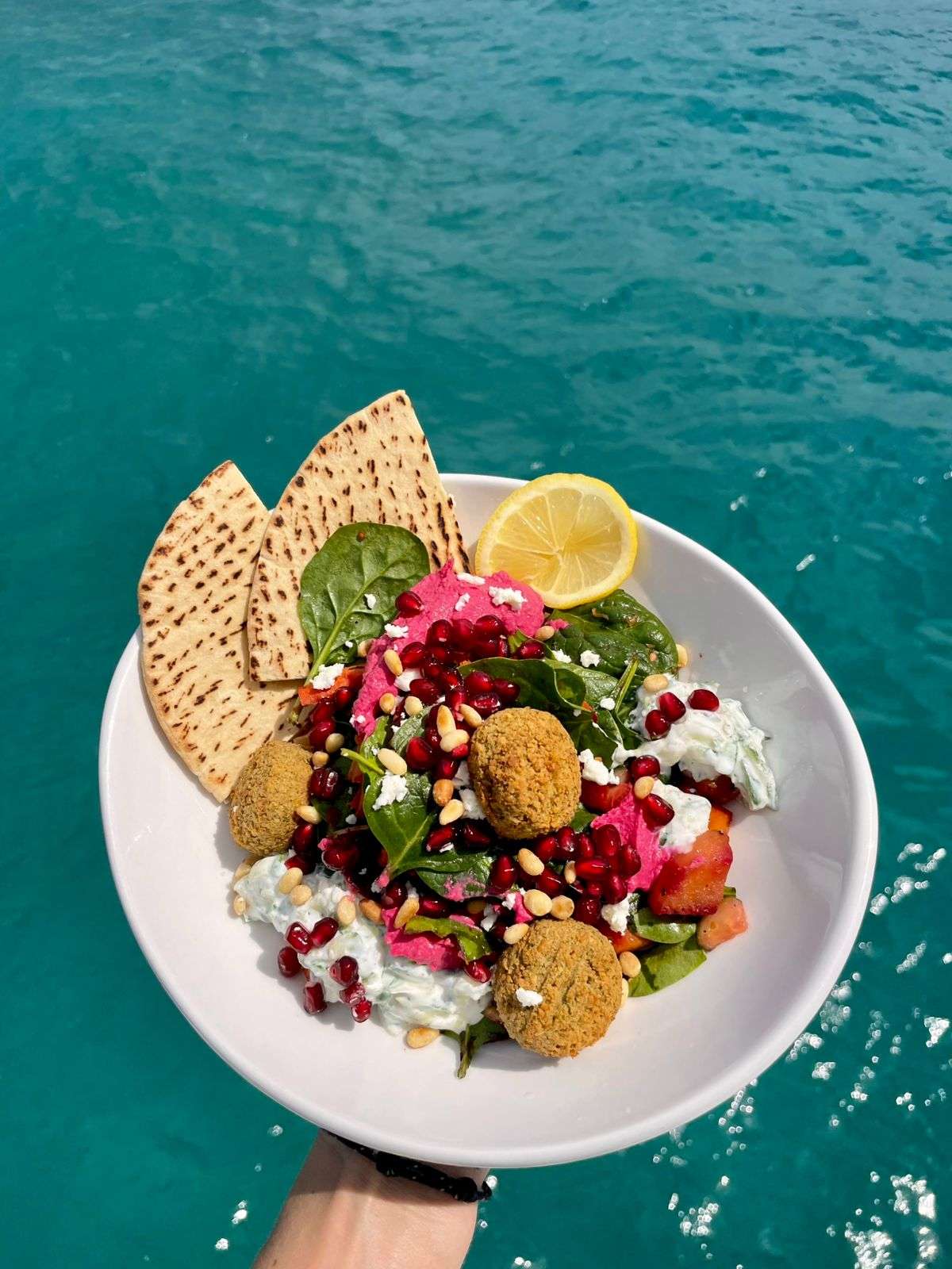 menu8