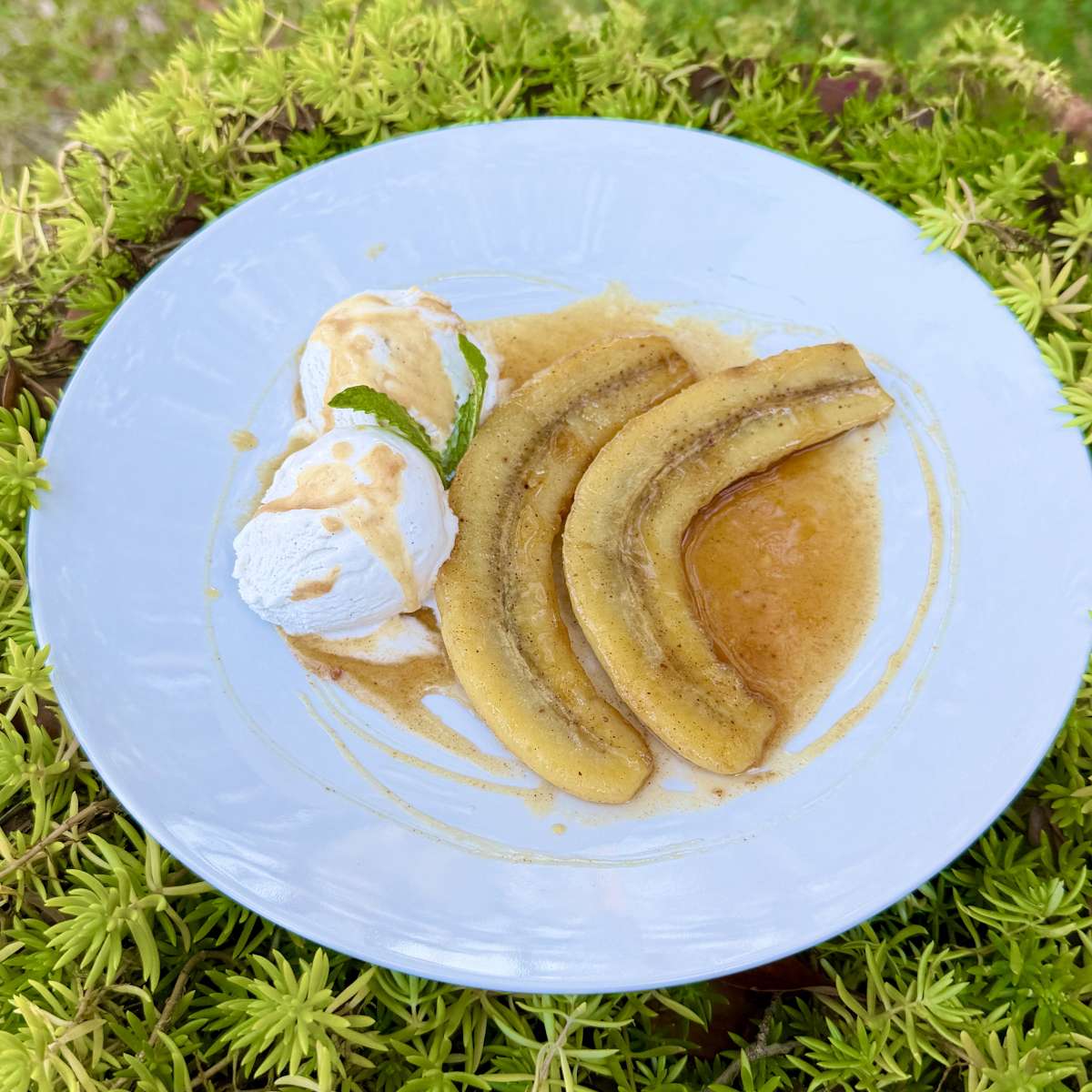 menu9