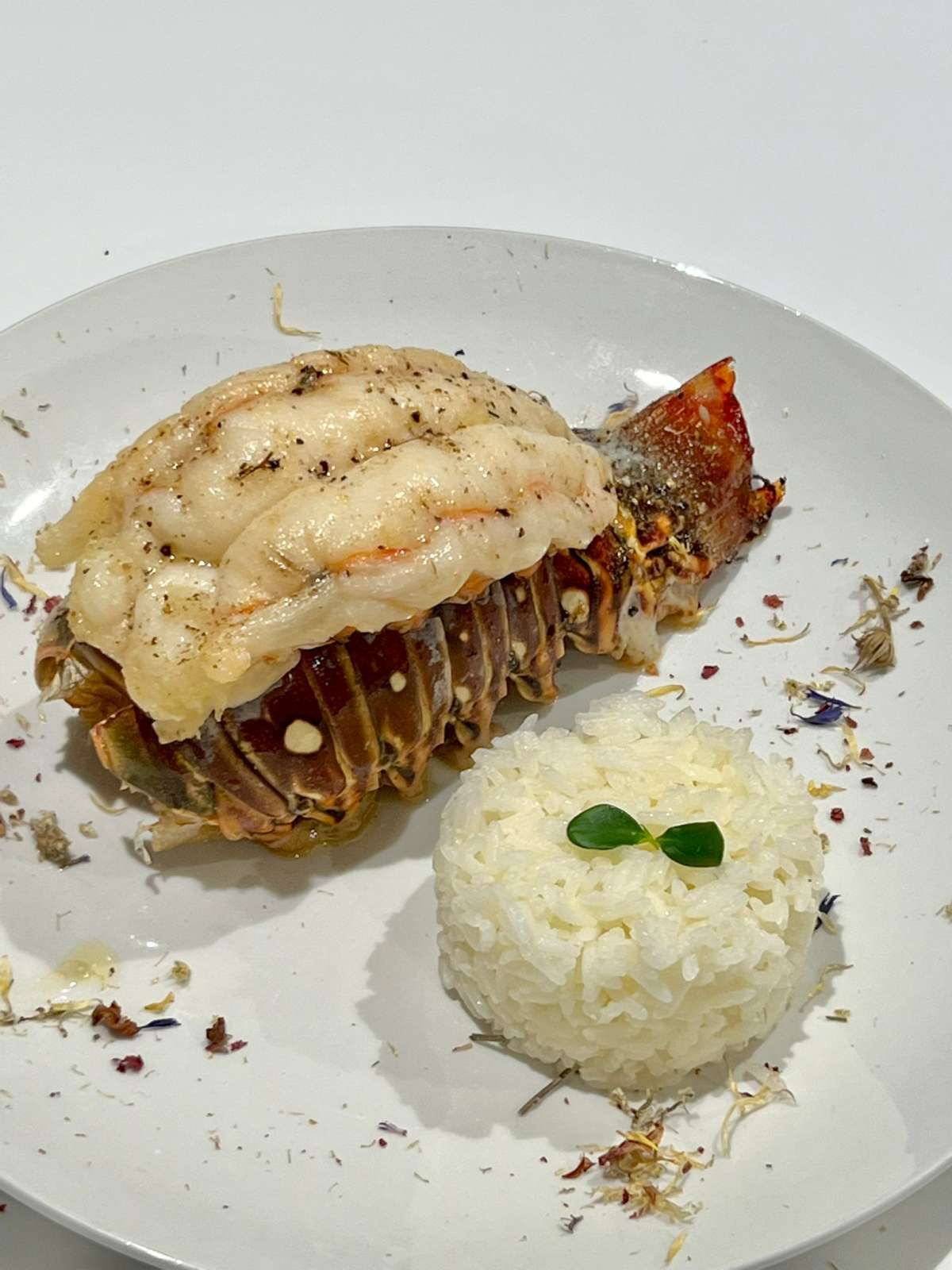 menu8