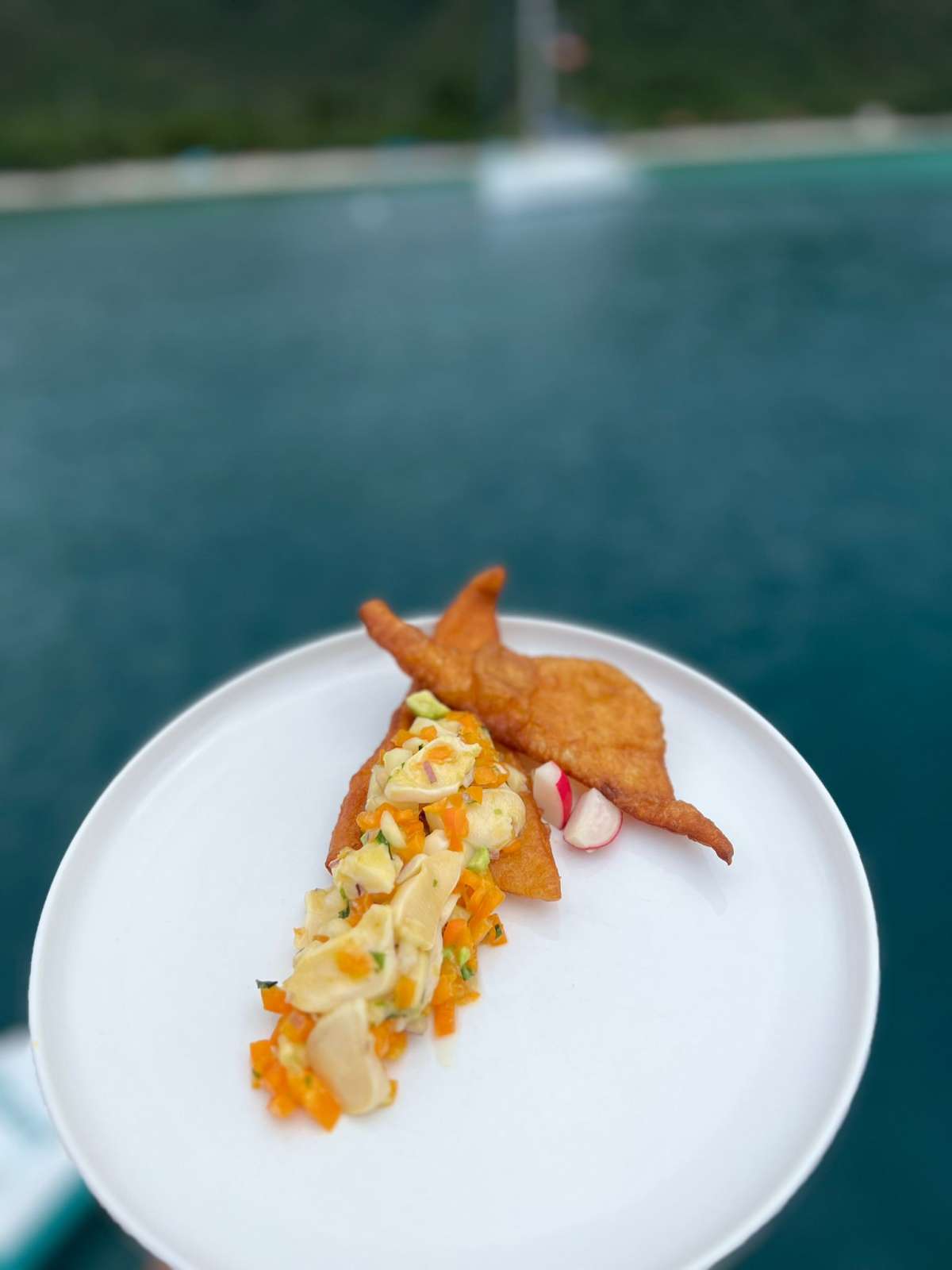menu9