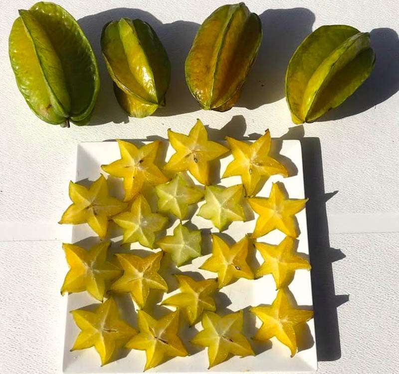 menu1