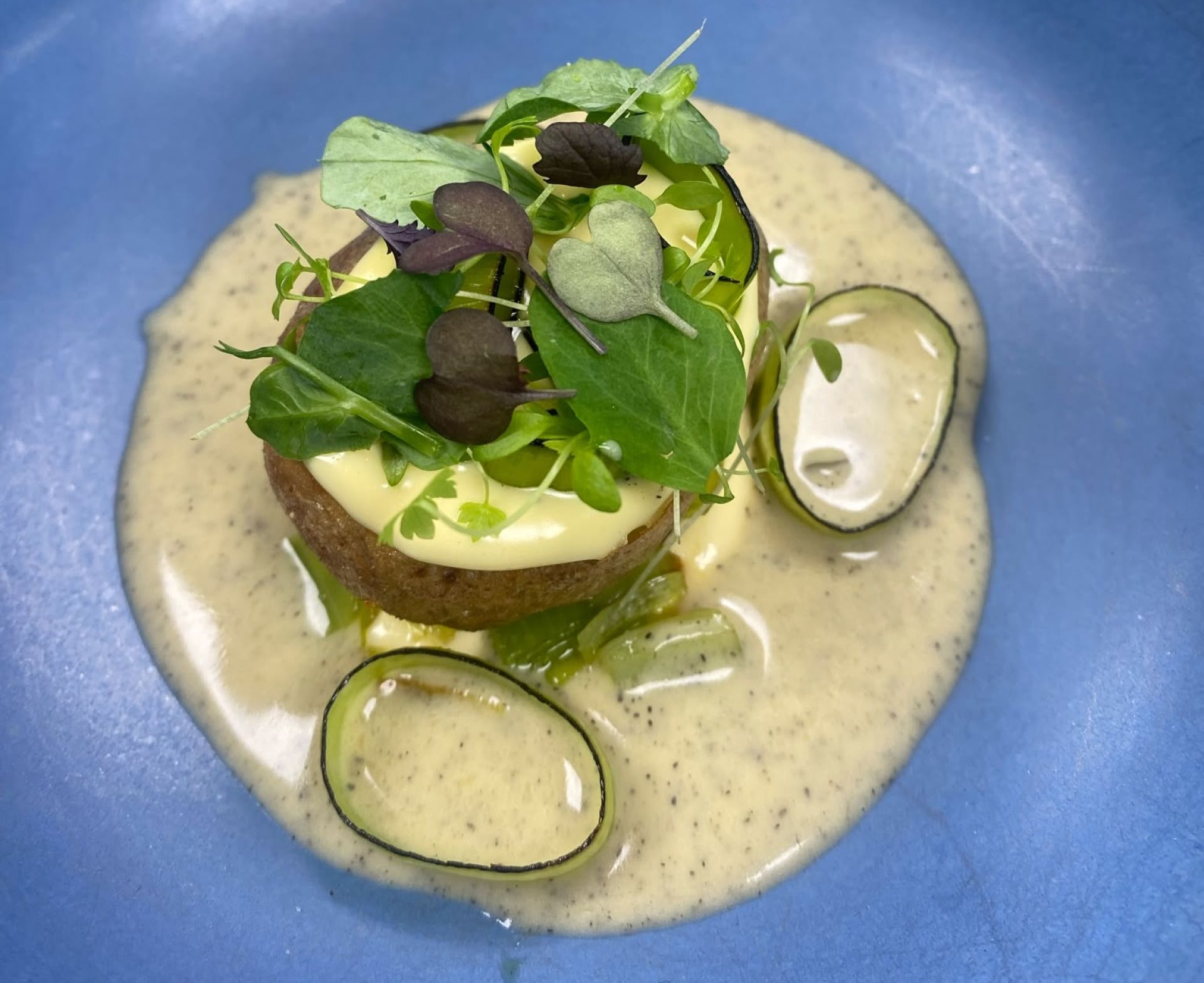 Dish 6