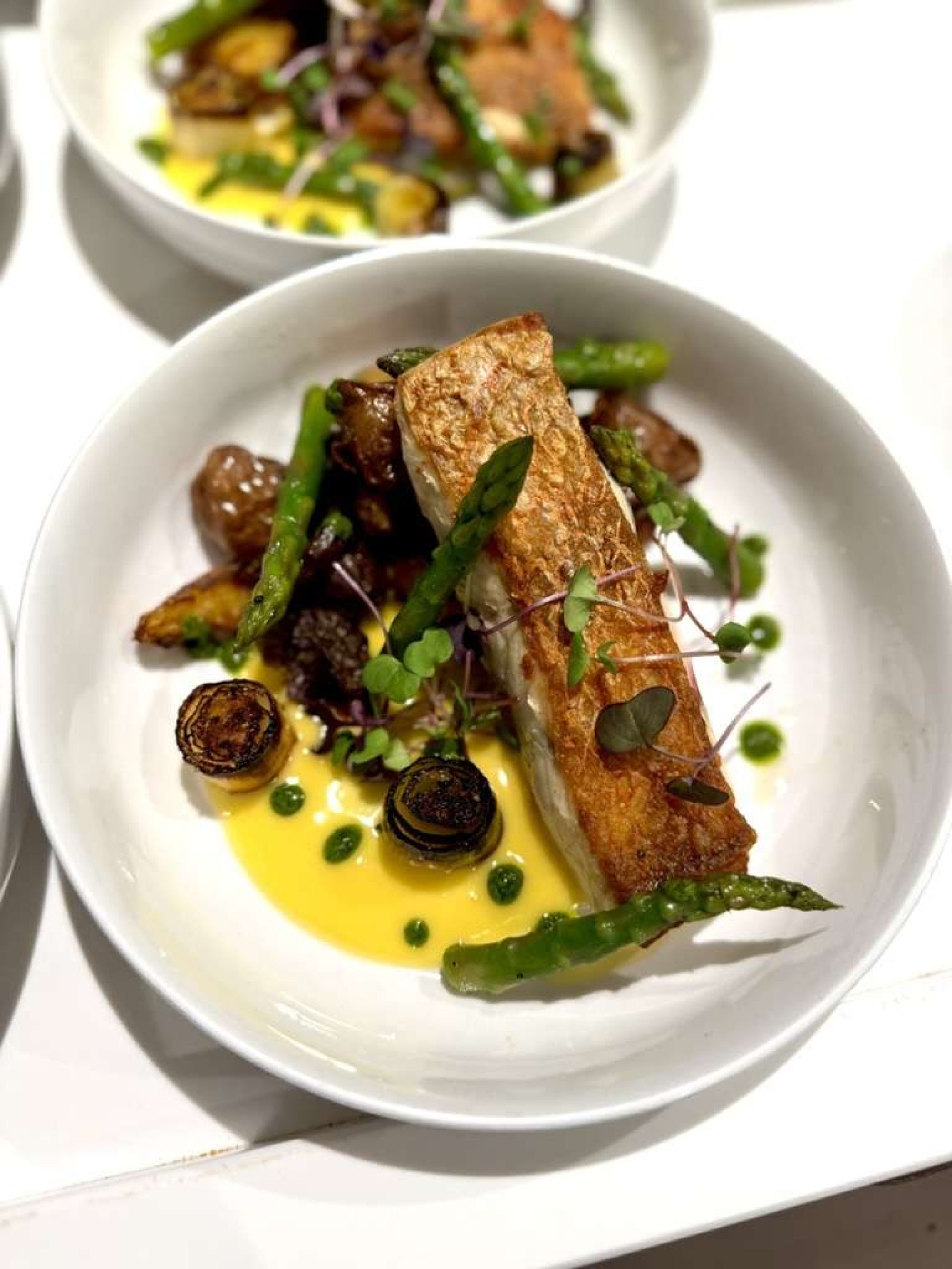Main Course Features