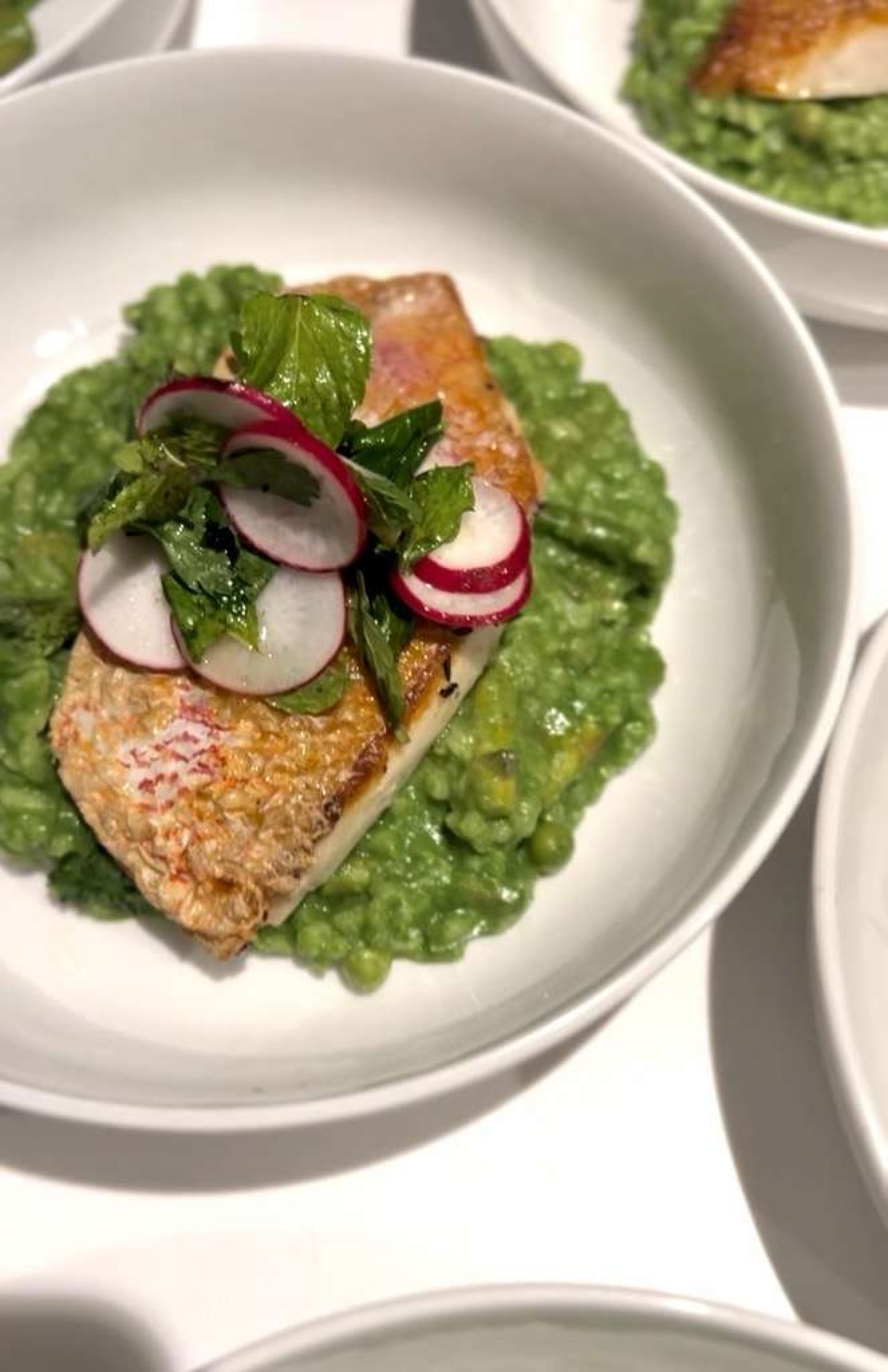 Main Course Features