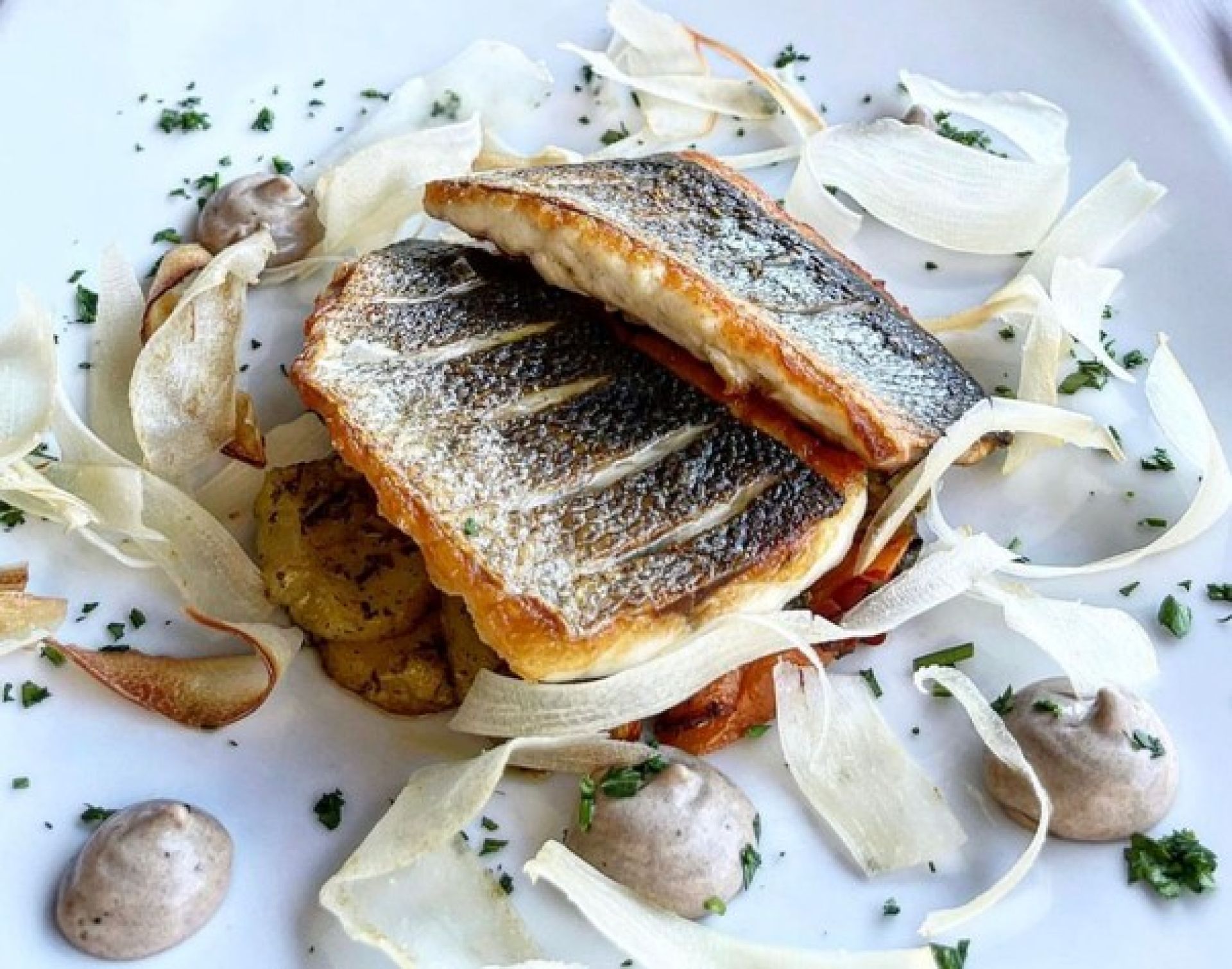 Sample of Dish