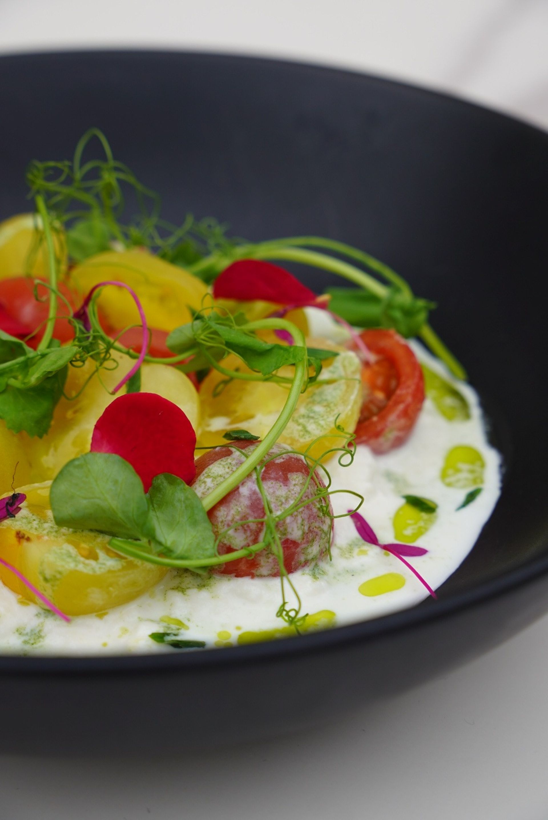 Caprese Salad