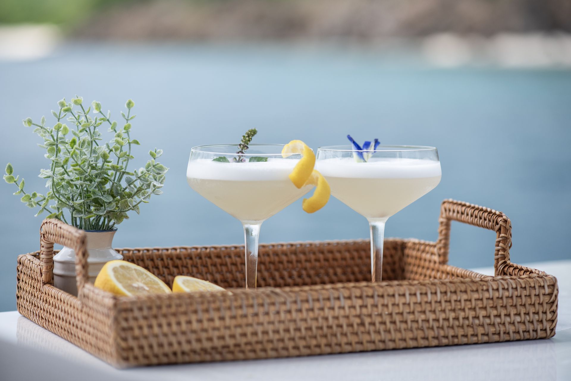 Cocktails