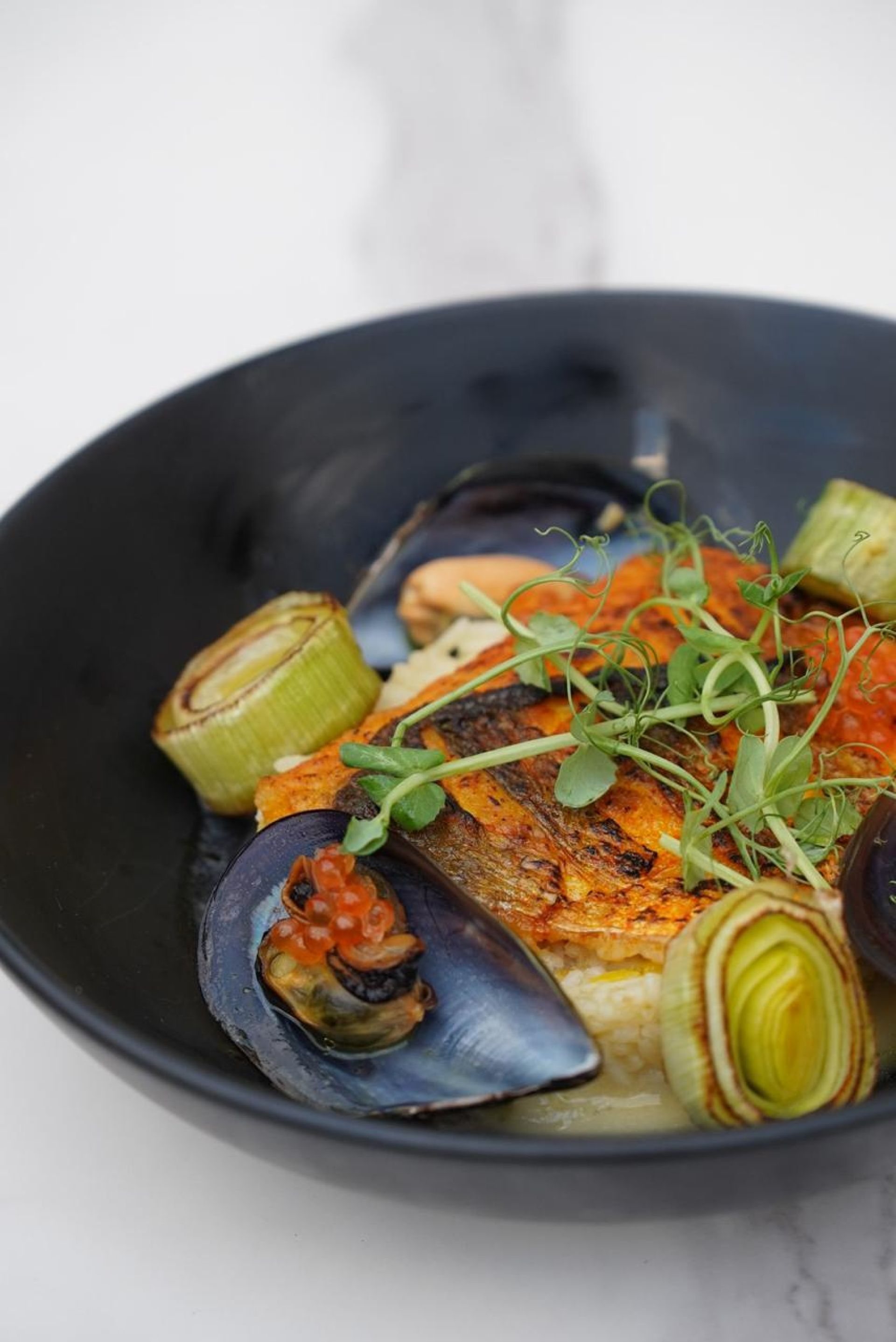 Main Course Features