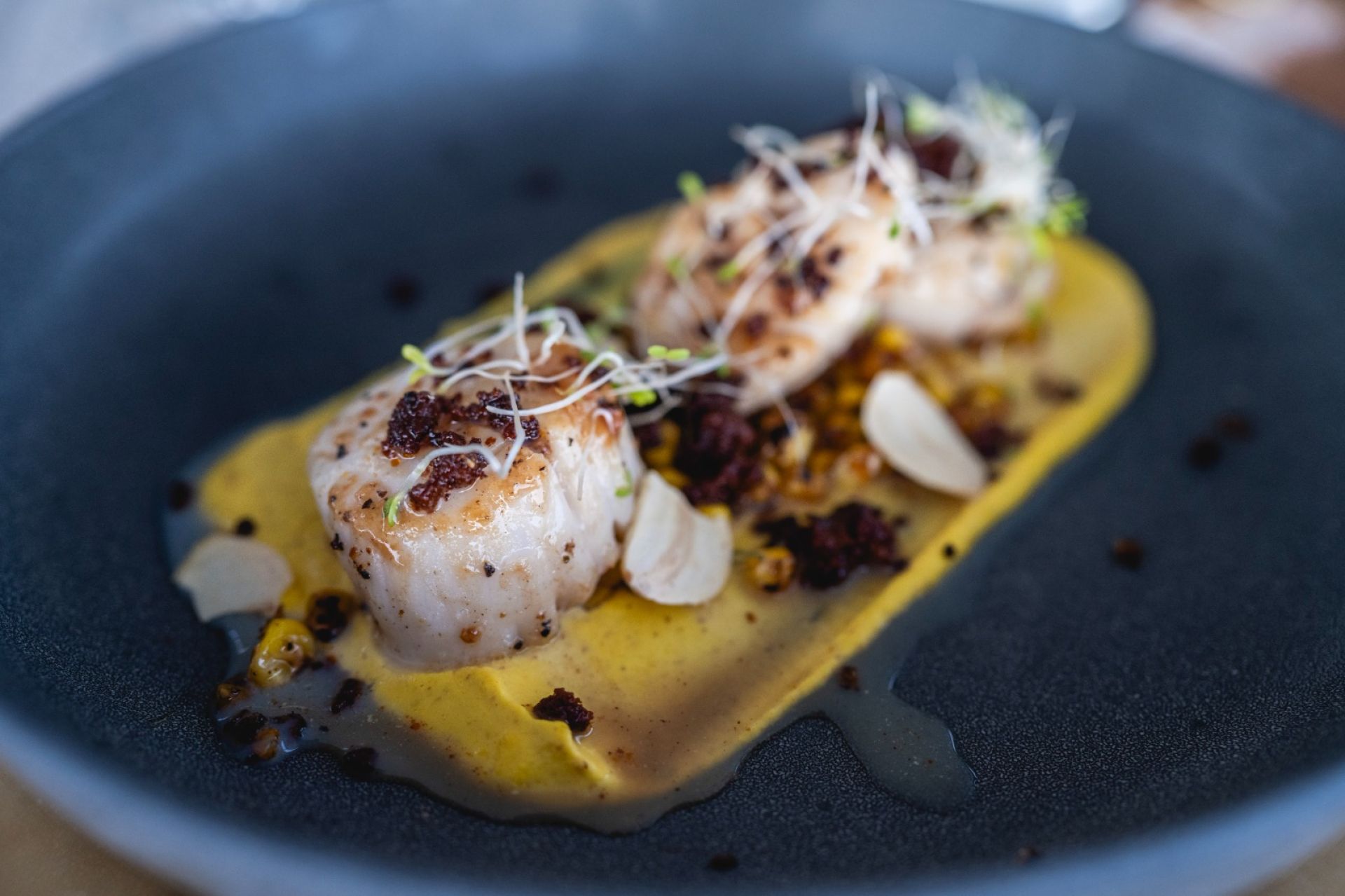 MY TY Seared Scallops