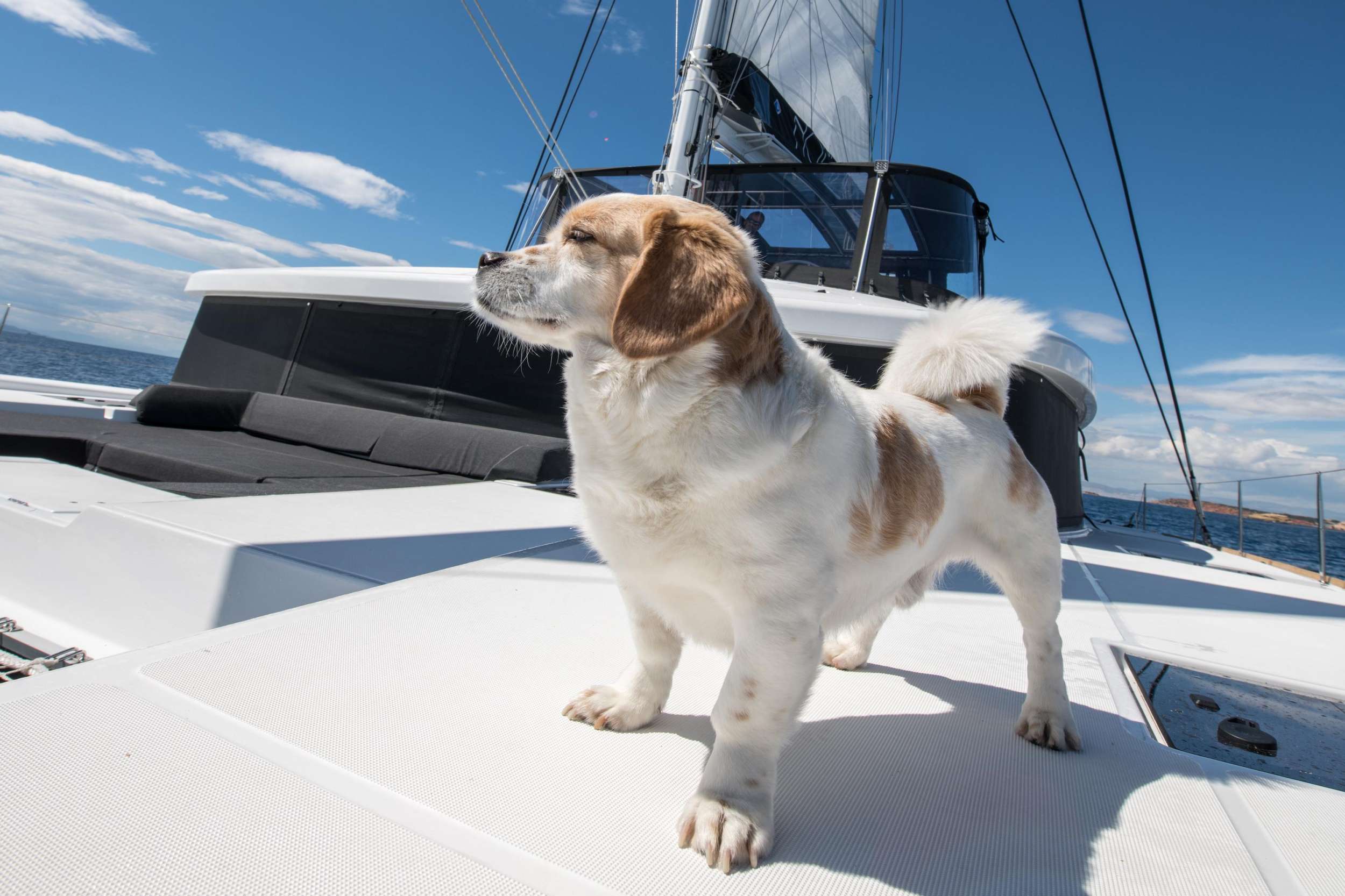 Yacht Photo