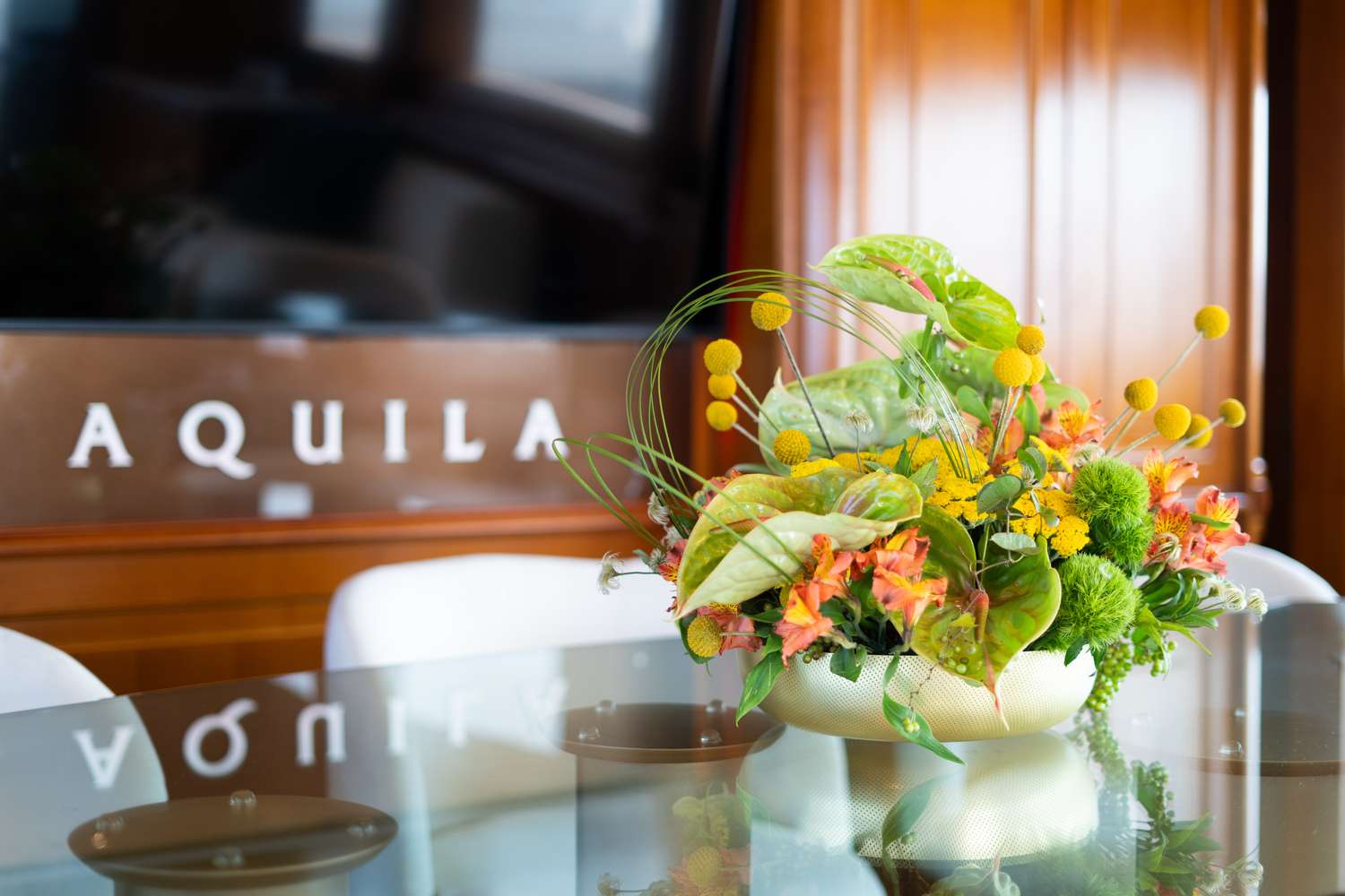 Aquila photo 19