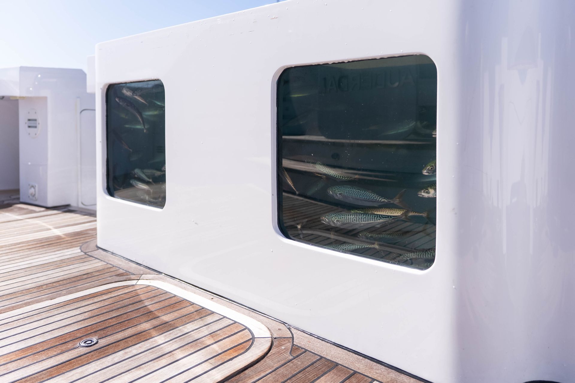Yacht Image 60